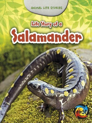 cover image of Life Story of a Salamander